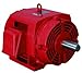 WEG Electric 25036OP3GFP445TS, 250HP, 3600 RPM, 3PH, 460V, 444/5TS Frame, Standard Flange, Foot Mount, Open, Fire Pump Motor