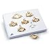 3B Scientific A790 7 Piece BONElike Cervical Vertebrae Set, 11.8" x 8.3" x 2.4"