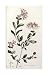 A Colour Plate From Curtis' Flora Londinesis - William Curtis Art Print Poster - 16.75 x 26