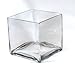CYS EXCEL Glass Cube Vase (8