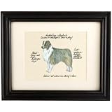 Ballard Designs - Australian Shepherd Dog Print
