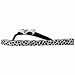 Ipanema Women's Luna Flip Flop