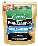 Tools & Hardware : Scotts Pure Premium Kentucky Bluegrass Seed, 3 Lb