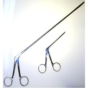 Se Forceps Alligator 5 5