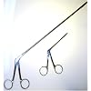Unknown Se Forceps Straight 5