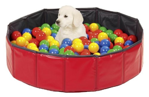 Bälle-Bad für Doggy Pool - 250 Stück