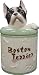 Boston Terrier Collectible Dog Puppy Cookie Jar Container Figurine Art
