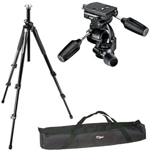 Manfrotto 055XPROB/808RC4 Pro Tripod Kit and a Vidpro 35