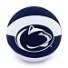 Penn State Nittany Lions Crossover Basketball Boxd