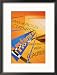 Concept of Internet Access Signs with Binary Code Framed Photographic Poster Print by Carol & Mike Werner, 17x21