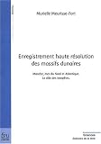 ENREGISTREMENT HAUTE R�SOLUTION DES MASSIFS DUNAIRES