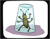 Mouse Pad with insect, trapped, caught, glass