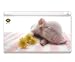 Pig Piggy Babe - Official Hanadeka Club Animal Decorative Protector Skin Decal Sticker for Nintendo DS Lite