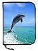 New Scuba Diving 3 Ring Zippered Log Book Binder with FREE Generic Log Insert ($12.95 Value) - Jumping Dolphin (Amphibious Outfitters)