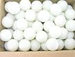 PING PONG BALLS / TABLE TENNIS BALLS - 144/pk (1 gross)