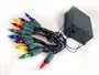 Set of 10 Battery Operated Multi-Color Mini Christmas Lights - Green Wire