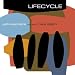 Yellowjackets-Lifecycle