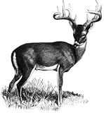 8oz Deer Flask