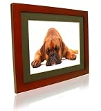 Pictorea Pro 15 Digital Photo Frame (Red Wood) MP3/Movies/Jpeg & Remote With Zero Dead Pixel Warranty