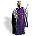 Disguise Women's Disney Snow White Evil Queen Deluxe Costume