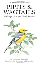 Pipits and Wagtails of Europe, Asia and North America: Identification and Systematics (Helm Identification Guides)