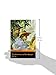 Level 1: The Adventures of Tom Sawyer (Pearson English Graded Readers)