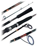 Penn - Spinfisher 2 Piece 10' Medium Heavy Surf Ro