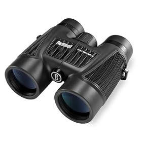 Bushnell H2O Waterproof/Fogproof Roof Prism Binocular, 8 x 42-mm, Black: Sports &amp; Outdoors