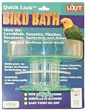 Lixit Quick Lock Bird Bath