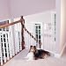KidCo Elongate/Safeway Child Safety Gate 24