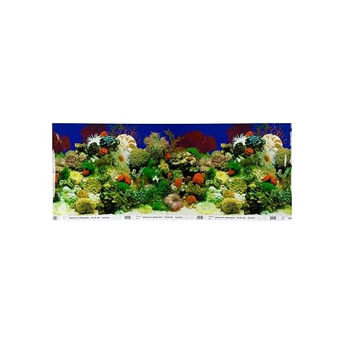 Seascape Aquarium Background