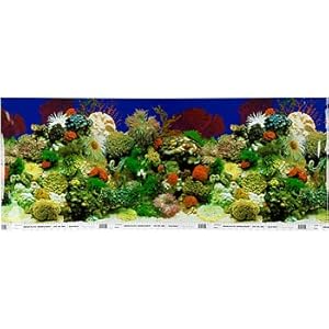 Seascape Aquarium Background