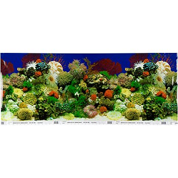 PETCO Double Sided Aquarium Background