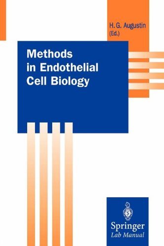 Methods in Endothelial Cell Biology (Springer Lab Manuals)