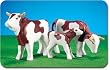 2 Cows and a Calf