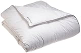 Royal Velvet Silver 400-Thread Count Cotton Damask Stripe Full/Queen Europe ....