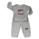 Baby Looney Tunes - Toddler Boys Sweatsuit Grey