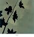Blossoms I - Robert Charon Art Print Poster 22 x 24 Image
