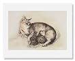 Ruth Spoor, Cat and Kittens ("Puddy')