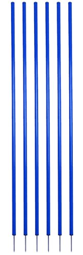 Champion Sports Coaching Sticks, Blue