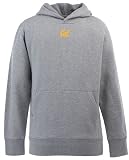 Cal YOUTH Boys Signature Hooded Sweatshirt (Grey)