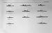 1953-54 America Ships Accentor Owl Adroit Medusa Dixie