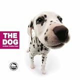 The Dog (Artlist Collection)