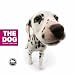 The Dog (Artlist Collection)