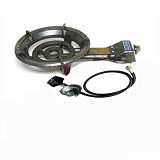 Electric Igniter Portable Propane Gas Stove Range Camping