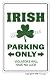 IRISH ~Novelty Sign~ parking ireland flag beer gift