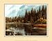 Fly Fishing Art Poster Print, 20x16