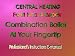 Central Heating Fault Finding and Repair: Combination Boiler at Your Fingertip: Professional's Instruction E-manual CD