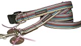 Trish Hampton - Handmade 3/8" 4 Dog Leash (Chocolate Multi Stripe)