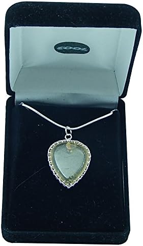 Cool Music Young Amber Guitar Pick Pendant Number Four
